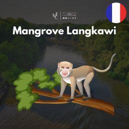 Mangrove - Tour privé par My French Conciergerie