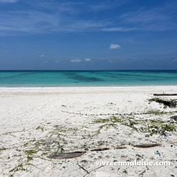 Excursion Pulau Mengalum