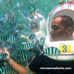 Seawalking + Pulau Mamutik + Manukan - Kota Kinabalu