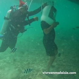 Seawalking + Pulau Mamutik + Manukan - Kota Kinabalu