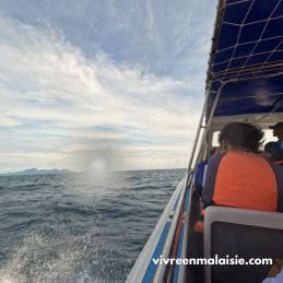 Bateau privé - Tour des 3 îles - Manukan / Mamutik / Sapi
