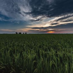 Tour Kuala Selangor - Chauffeur privé - 10h