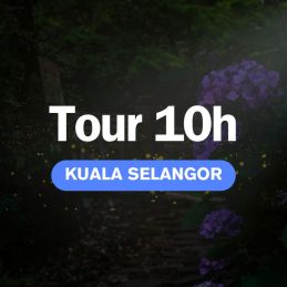 Tour Kuala Selangor - Chauffeur privé - 10h