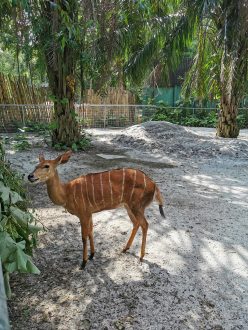 Zoo de Kuala Lumpur