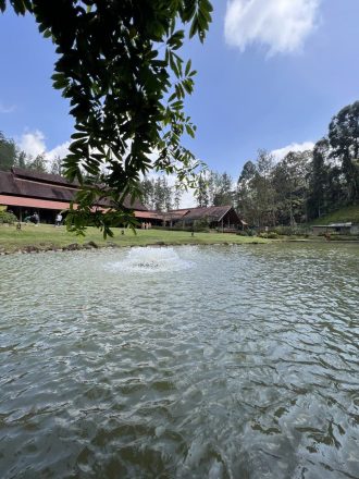 Lac du restaurant Pineyard Malaisie