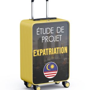 Service consultation expatriation Malaisie