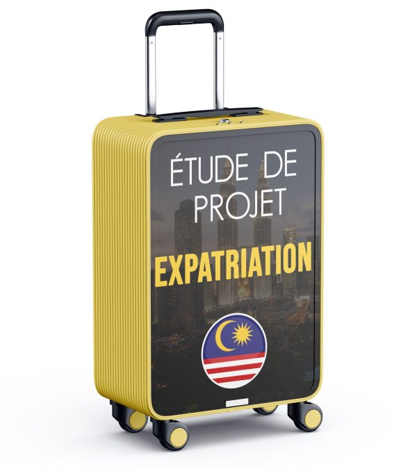 Service consultation expatriation Malaisie