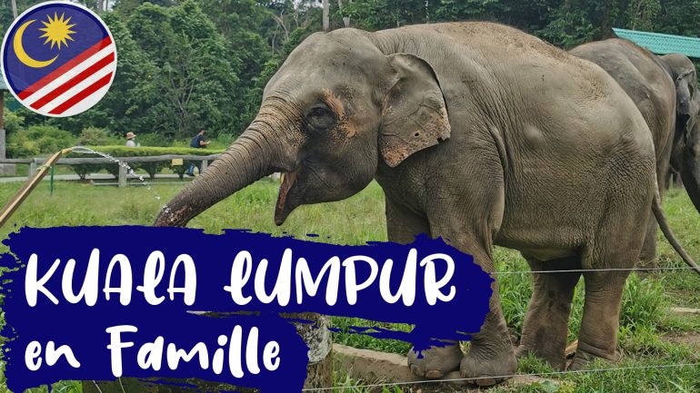 Voir des éléphants Malaisie Kuala Lumpur