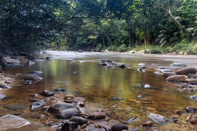 Explorer Taman Negara, et découvrez Tahan River